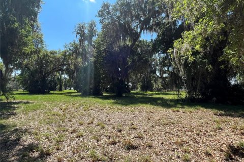 Land in Bunnell, Florida № 366272 - photo 10