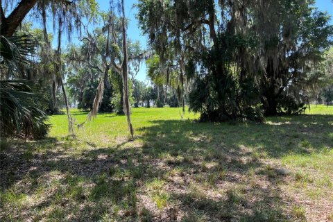Land in Bunnell, Florida № 366272 - photo 11