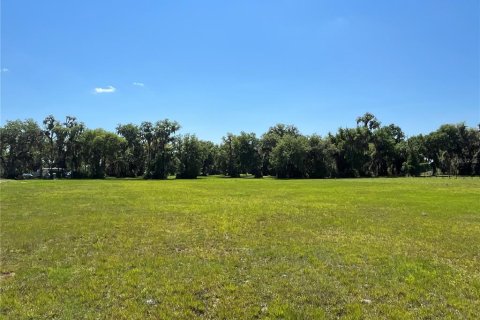 Land in Bunnell, Florida № 366272 - photo 9