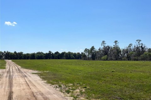 Land in Bunnell, Florida № 366272 - photo 7