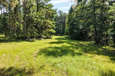 Land in Alachua, Florida № 1836919 - photo 5