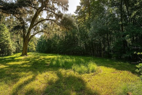 Land in Alachua, Florida № 1836919 - photo 4