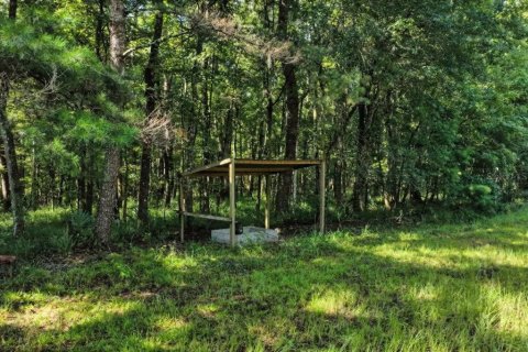 Land in Alachua, Florida № 1836919 - photo 10