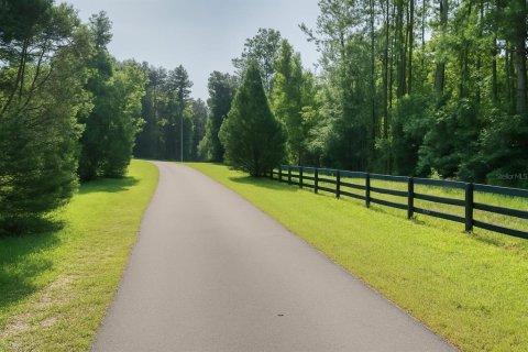 Land in Alachua, Florida № 1836919 - photo 2
