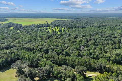 Land in Alachua, Florida № 1836919 - photo 15