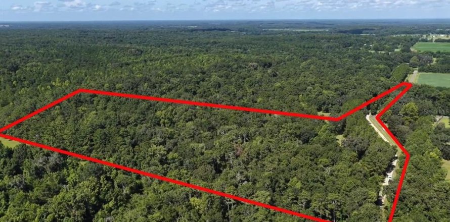Land in Alachua, Florida № 1836919