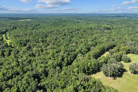 Land in Alachua, Florida № 1836919 - photo 14