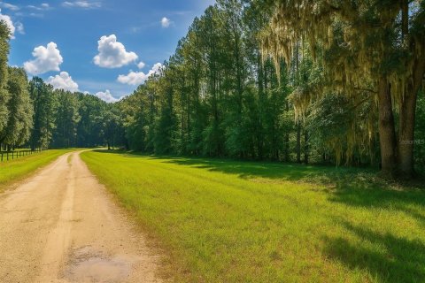Land in Alachua, Florida № 1836919 - photo 3