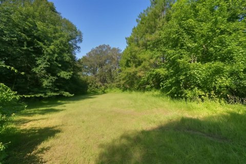 Land in Alachua, Florida № 1836919 - photo 6