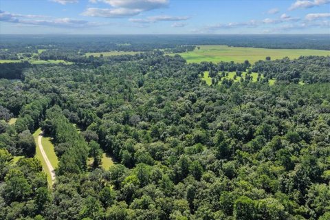 Land in Alachua, Florida № 1836919 - photo 16