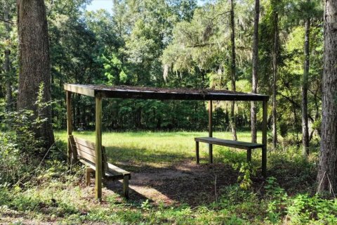 Land in Alachua, Florida № 1836919 - photo 11