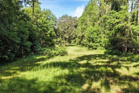 Land in Alachua, Florida № 1836919 - photo 9