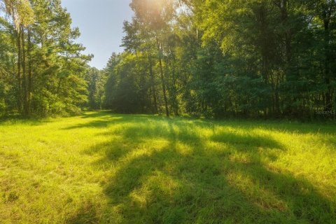 Land in Alachua, Florida № 1836919 - photo 8