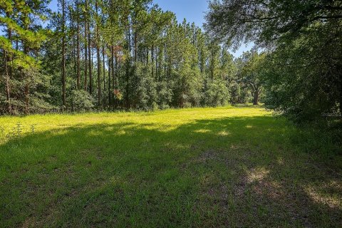Land in Alachua, Florida № 1836919 - photo 12
