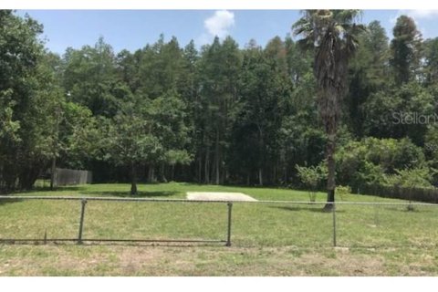 Land in Odessa, Florida № 1880629 - photo 1
