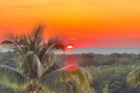 Condo in Key Biscayne, Florida, 2 bedrooms  № 1947231 - photo 3
