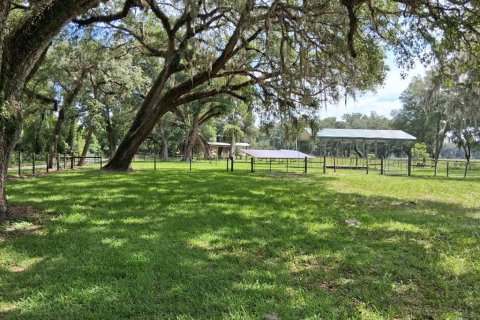 Villa ou maison à vendre à Webster, Floride: 3 chambres, 120.4 m2 № 2149891 - photo 20