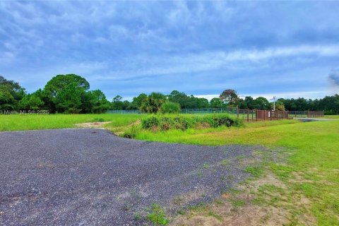 Land in Clewiston, Florida № 1926632 - photo 14
