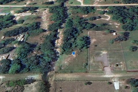 Land in Clewiston, Florida № 1926632 - photo 24