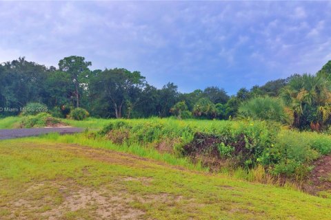 Land in Clewiston, Florida № 1926632 - photo 11