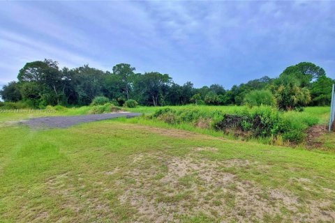 Land in Clewiston, Florida № 1926632 - photo 6