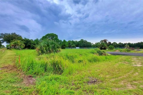 Land in Clewiston, Florida № 1926632 - photo 8