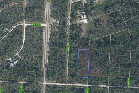 Land in Lake Placid, Florida № 2163987 - photo 4