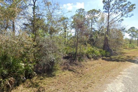 Land in Lake Placid, Florida № 2163987