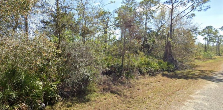 Land in Lake Placid, Florida № 2163987
