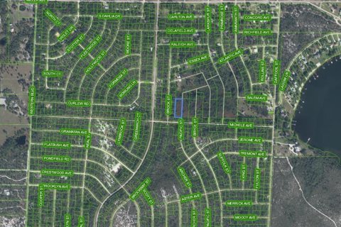 Land in Lake Placid, Florida № 2163987 - photo 3