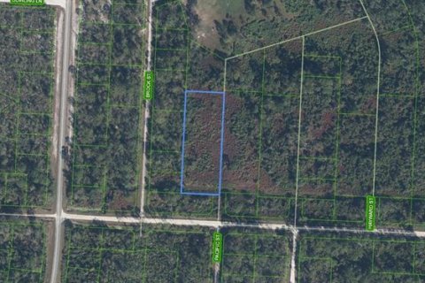 Land in Lake Placid, Florida № 2163987 - photo 2