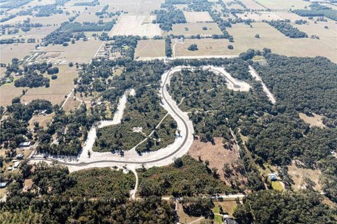 Land in Oxford, Florida № 1508559 - photo 5