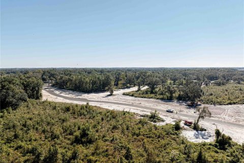 Land in Oxford, Florida № 1508559 - photo 16