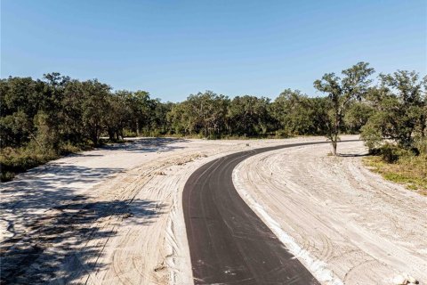 Land in Oxford, Florida № 1508559 - photo 11