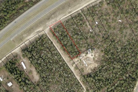 Land in Fountain, Florida № 2347794