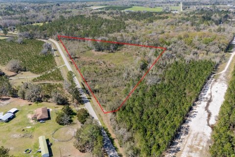 Terreno en venta en Lake Butler, Florida № 1598321 - foto 2