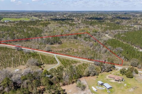 Terreno en venta en Lake Butler, Florida № 1598321 - foto 3