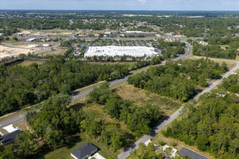 Land in Ocala, Florida № 2165927 - photo 3