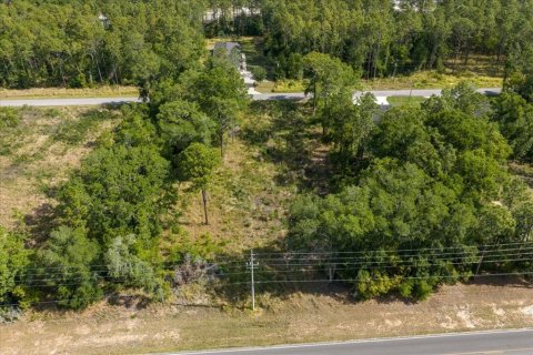 Land in Ocala, Florida № 2165927 - photo 12