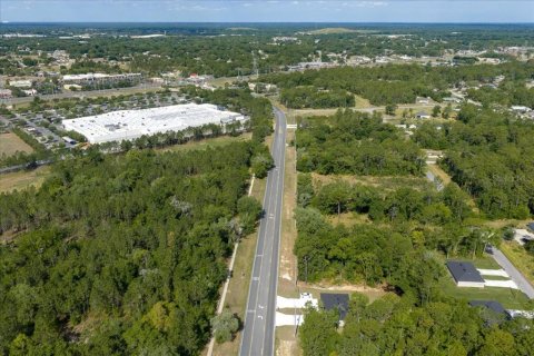 Land in Ocala, Florida № 2165927 - photo 8