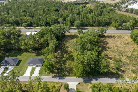 Land in Ocala, Florida № 2165927 - photo 6