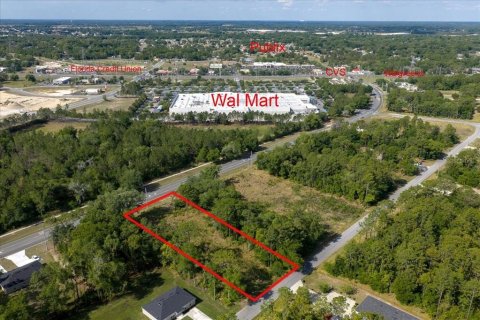 Land in Ocala, Florida № 2165927 - photo 2
