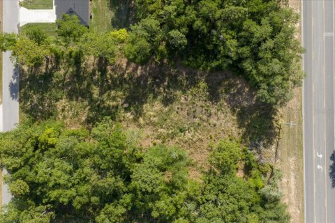 Land in Ocala, Florida № 2165927 - photo 5