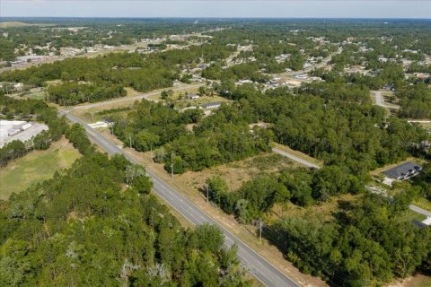 Land in Ocala, Florida № 2165927 - photo 9