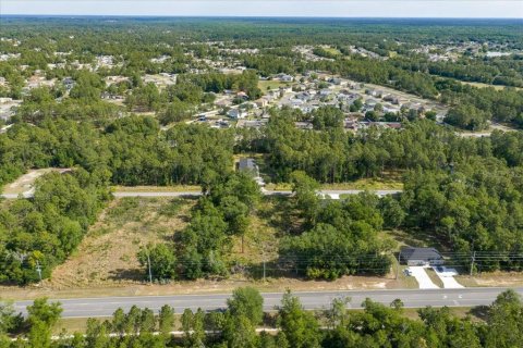 Land in Ocala, Florida № 2165927 - photo 10