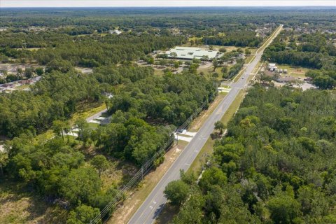 Land in Ocala, Florida № 2165927 - photo 11