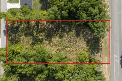 Land in Ocala, Florida № 2165927