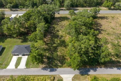 Land in Ocala, Florida № 2165927 - photo 13