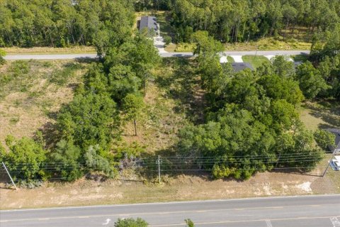 Land in Ocala, Florida № 2165927 - photo 4