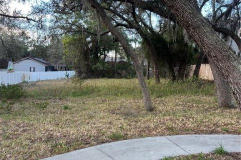 Land in Tarpon Springs, Florida № 2108646